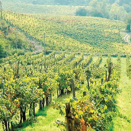 2 Bedroom Amazing In Holiday home